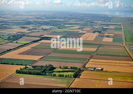 Feldmuster in hochertragreichen Gartenlandflächen in der Nähe von Hesketh Bank, West Lancashire, Nordwestengland, Großbritannien Stockfoto