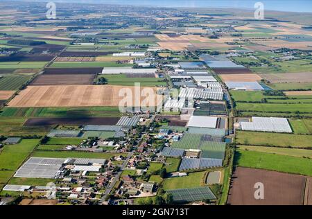 Feldmuster in hochertragreichen Gartenlandflächen in der Nähe von Hesketh Bank, West Lancashire, Nordwestengland, Großbritannien Stockfoto