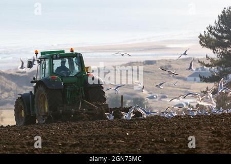 Frühling bei Feldern mit Blick auf Lunan Bay pflügen. Montrose. East Coast Schottland, Vereinigtes Königreich Stockfoto