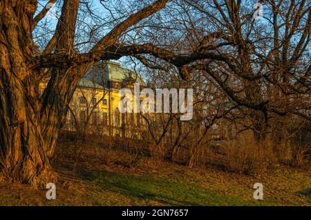 Dresden, Sachsen, Deutschland: Das Japanische Schloss am Königsufer, Heimat des Ethnologischen Museums, von hinten und im Abendlicht gesehen. Stockfoto