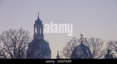 Dresden, Sachsen, Deutschland: Silhouette der Kuppeln der Frauenkirche und der Kunsthochschule und Bäume voller Krähen. Stockfoto