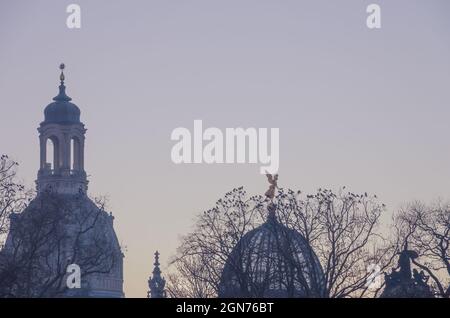 Dresden, Sachsen, Deutschland: Silhouette der Kuppeln der Frauenkirche und der Kunsthochschule und Bäume voller Krähen. Stockfoto