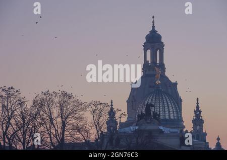 Dresden, Sachsen, Deutschland: Silhouette der Kuppeln der Frauenkirche und der Kunsthochschule und Bäume voller Krähen. Stockfoto