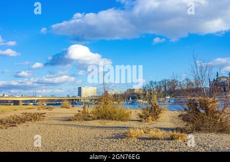 Dresden, Sachsen, Deutschland: Die Neustadt liegt bei Niedrigwasser zwischen Carola- und Augustusbrücke. Stockfoto