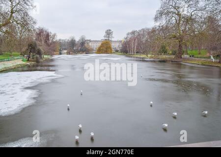 Möwen stehen auf dem gefrorenen See im St James's Park, London, 11. Februar 2021. Stockfoto