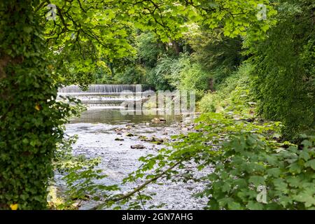 Der Fluss Tavy Tavistock Devon Stockfoto