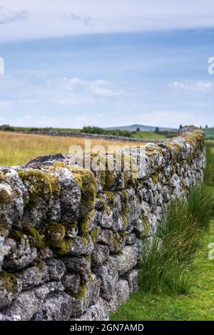 Traditionelle Trockensteinmauer Dartmoor Devon England Stockfoto