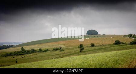 Offene Landschaft in der Nähe von Chalton Shaftesbury Dorset England Stockfoto