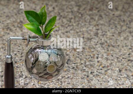 Bangkok, Thailand - 26. Jun 2020 : die Setzlinge, die auf dem Münzstapel in einer Glasflasche wachsen, sind Symbol für das Wachstum des Unternehmens. Investitionskonzept für gr Stockfoto