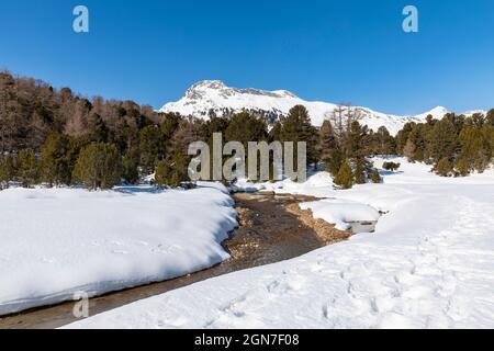 Panorama mit viel Schnee auf Lukmanier im Tessin, auf die Schweizer Alpen und ein romantischer Bach durch die Landschaft. Niemand drinnen Stockfoto