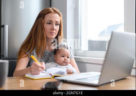 Junge freiberufliche Mutter, die von zu Hause aus arbeitet. Fokussierte Frau, die ihren Laptop für die Arbeit oder das Lernen benutzt, in der Küche zu Hause mit dem Baby auf dem Schoß sitzt, websurft und Notizen macht, während sie im Babysitter sitzt Stockfoto