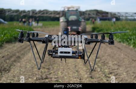 23. September 2021, Sachsen, Naundorf: Eine Drohne schwebt vor einem Traktor mit Düngemittel-Ausrüstung während einer Technologieschau auf einem Feld in Nordsachsen. Eine multispektrale Kamera auf der Drohne erkennt den Düngerbedarf der Ackerpflanzen. Die Präsentation des Projekts 'Landnetz meets Feldschwarm' zeigte digitale Lösungen für die moderne Landwirtschaft. Das Projekt wird unter anderem von der Technischen Universität Dresden, dem Fraunhofer-Institut für Verkehrs- und Infrastruktursysteme und dem Sächsischen Landwirtschaftsministerium durchgeführt. Foto: Sebastian Willnow/dpa-Zentralbild/dpa Stockfoto