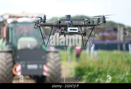 23. September 2021, Sachsen, Naundorf: Eine Drohne schwebt vor einem Traktor mit Düngemittel-Ausrüstung während einer Technologieschau auf einem Feld in Nordsachsen. Eine multispektrale Kamera auf der Drohne erkennt den Düngerbedarf der Ackerpflanzen. Die Präsentation des Projekts 'Landnetz meets Feldschwarm' zeigte digitale Lösungen für die moderne Landwirtschaft. Das Projekt wird unter anderem von der Technischen Universität Dresden, dem Fraunhofer-Institut für Verkehrs- und Infrastruktursysteme und dem Sächsischen Landwirtschaftsministerium durchgeführt. Foto: Sebastian Willnow/dpa-Zentralbild/dpa Stockfoto