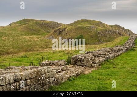 Der Hadrian’s Wall Path ist ein 84 Meilen (135 km) langer National Trail, der sich von Wallsend, Newcastle upon Ty, aus Küste zu Küste durch Nordengland erstreckt Stockfoto