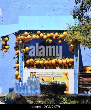 Mann, der Orangensaft in Chefchaouen Marokko verkauft Stockfoto