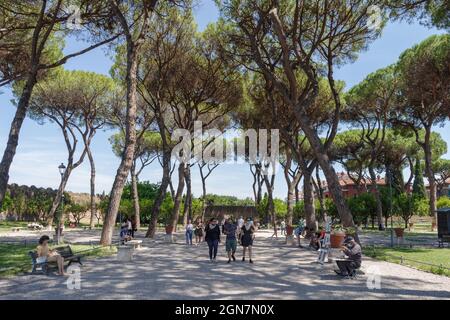 Besucher genießen den ruhigen Savello Park, auch Giardino degli Aranci (Garten der Orangen) auf dem Hügel Aventine in Rom genannt Stockfoto