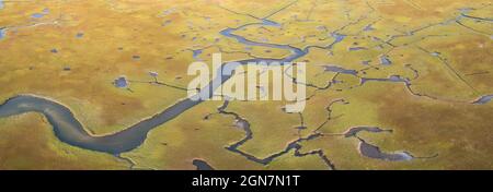 Kanäle schlängeln sich durch ein Salzgesumpf in Pleasant Bay, Cape Cod, Massachusetts. Diese Art von Feuchtgebiet Lebensraum ist lebenswichtige Futterplätze für Wildtiere. Stockfoto