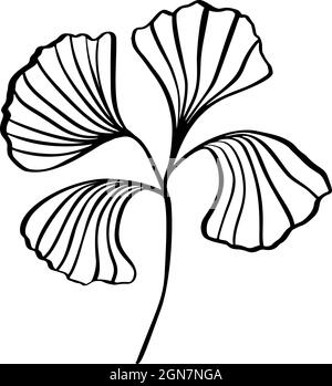 Ginkgo Blatt Hand zeichnen Vintage Clip Linie Kunst isoliert auf weißem Hintergrund. Vector skandinavisches Design-Element für Ihren Story-Text Stock Vektor