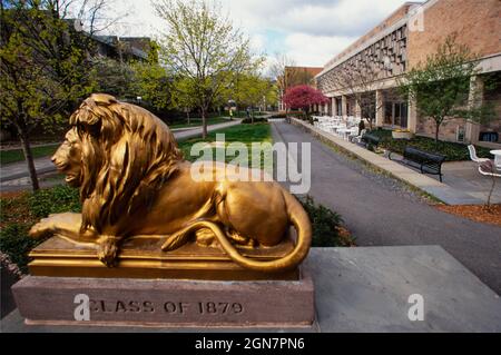 Löwen-Statue der Princeton University auf dem Campus NJ Stockfoto