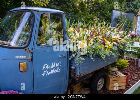 Freddie's Flowers Ausstellung und Stand auf der RHS Chelsea Flower Show, die im September 2021 auf dem Gelände des Royal Hospital Chelsea, London SW3, stattfand Stockfoto