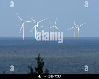 Minster on Sea, Kent, Großbritannien. September 2021. Windturbinen vom Windpark Kentish Flats in der Themse-Mündung aus Sicht von Minster on Sea, Kent, heute Nachmittag. Das Vereinigte Königreich steht vor einer Energiekrise im Winter, die zum Teil auf die weniger als erwarteten Winde in diesem Jahr zurückzuführen ist. Kredit: James Bell/Alamy Live Nachrichten Stockfoto