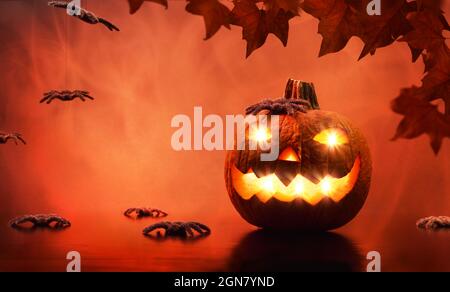 Grußkarte für halloween mit geschnitztem und beleuchtetem Kürbis mit Spinnen und hellrotem Hintergrund. Vorderansicht. Horizontale Zusammensetzung. Stockfoto