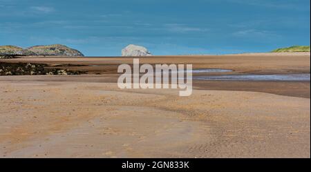 Bass Rock Stockfoto