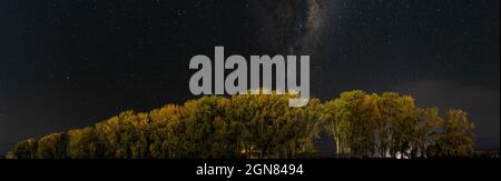 Panoramaaufnahme von Bäumen unter der Milchstraßendalaxie in einem Sternenhimmel Stockfoto