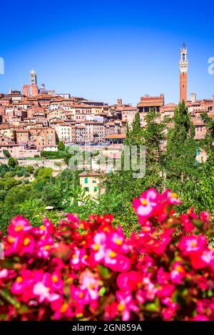 Siena, Italien. Die Sommerlandschaft von Siena, einer wunderschönen mittelalterlichen Stadt in der Toskana, mit Blick auf den Dom und den Glockenturm der Kathedrale von Siena und das Wahrzeichen Mangia Stockfoto