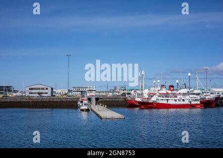 REYKJAVIK, ISLAND - 12. Juni 2021: Weiße und rote Ausflugsschiffe und kleine Schiffe, die an einem Pier im alten Hafen von Reykjavik an einem sonnigen Tag festgemacht sind. Stockfoto