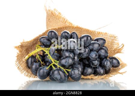 Ein Bund süßer schwarzer Trauben mit einer Jute-Serviette, Nahaufnahme, isoliert auf Weiß. Stockfoto