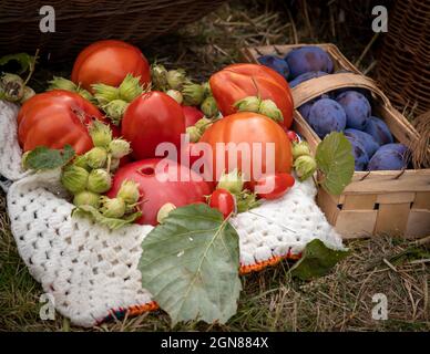 Bio-Tomaten, Pflaumen und Nüsse in einem Weidenkorb, verziert mit Blättern und weißer Serviette. Herbstliche Vibes. Stockfoto