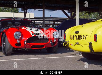 AC Cobra im Fahrerlager beim Goodwood Revival 2021, West Sussex, großbritannien Stockfoto