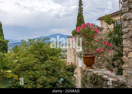 Rosa Blumen im Tontopf auf der Terrasse eines typisch französischen kleinen mittelalterlichen Dorfes in Vaucluse, Provence, Frankreich, Europa Stockfoto