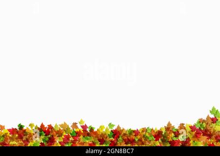 Farbenfrohe, bunte Herbstblätter umrahmen den unteren Rand der Seite auf einem weißen Hintergrund mit Werbefläche, um Ihren eigenen Text zu platzieren Stockfoto