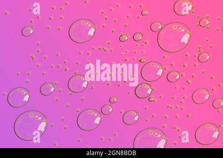 Mehrere Wassertropfen auf farbigem Hintergrund. In Pink selektiver Fokus. Verlauf Stockfoto