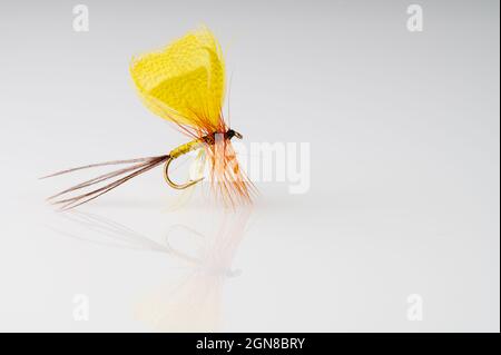 Traditionelles gelbes Mayfly Dry Fly Angelfliegen vor weißem Hintergrund mit Kopierraum Stockfoto