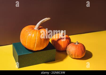 Großer Kürbis auf quadratischer Box neben zwei kleineren Kürbissen auf gelbem und braunem Hintergrund Stockfoto