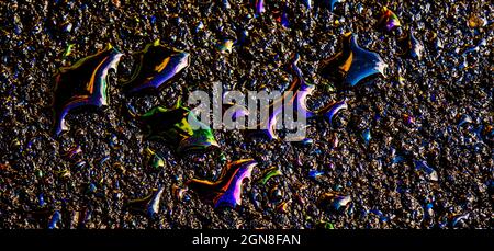 Öl Fleck auf Asphaltstraße nach Regen, Farbe Benzin Flecken auf Asphalt Stockfoto