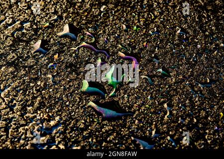 Öl Fleck auf Asphaltstraße nach Regen, Farbe Benzin Flecken auf Asphalt Stockfoto