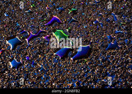 Öl Fleck auf Asphaltstraße nach Regen, Farbe Benzin Flecken auf Asphalt Stockfoto