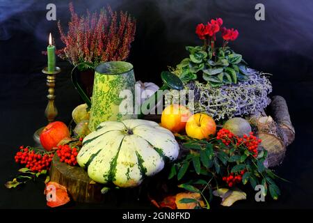 Herbstliches Stillleben mit Früchten und Blumen Stockfoto