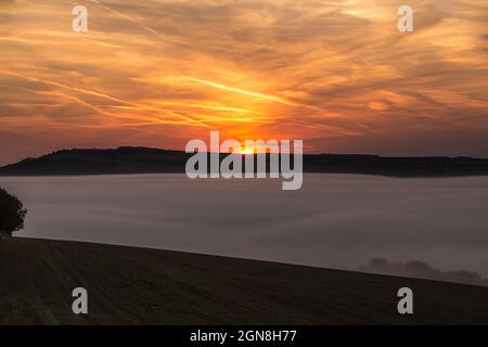 Nebliger Sonnenaufgang, South Downs Stockfoto