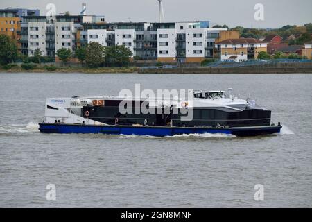 Millennium Diamond fährt zurück auf die Themse zum Londoner Stützpunkt, der die blaue Farbgebung der „CityCruises by Hornblower“-Ti trägt Stockfoto