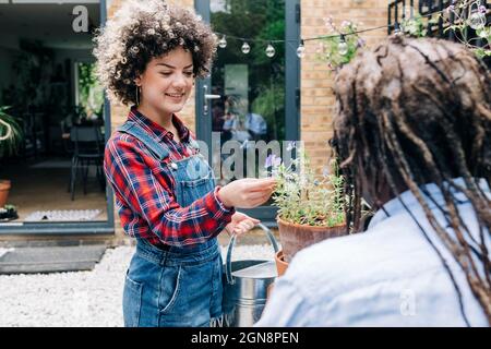 Frau überprüft die Pflanze, während sie mit dem Mann im Garten arbeitet Stockfoto