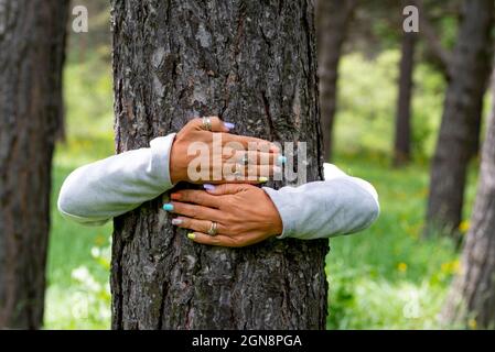 Frau umarmt Baumstamm im Wald Stockfoto