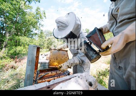 Imker beim Entfernen des Bienenstocks von einem Mitarbeiter auf dem Bauernhof aus der Box Stockfoto