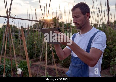 Landwirt mit digitalem Tablet, während er während des Sonnenuntergangs auf dem landwirtschaftlichen Feld steht Stockfoto