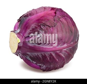 Rotkohlweg isoliert auf weiß Stockfoto