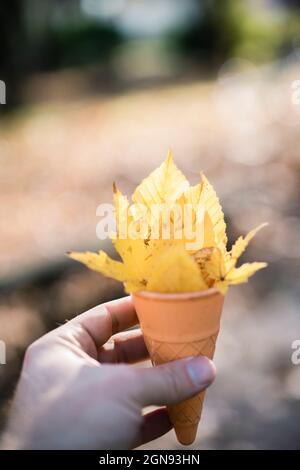 Junger Mann mit Eiskegel und Blättern Stockfoto